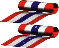 bunting5stripe.jpg